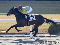 カラーパネル2016年1月16日京都1R 3歳未勝利(デルマチャチャ)