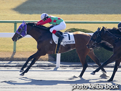 カラープリント(アルミ枠付き)2016年1月16日京都2R 3歳未勝利(シゲルオキサワラ)