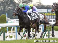 カラーパネル2016年1月16日京都5R 3歳未勝利(ヴァンキッシュラン)