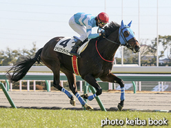 カラープリント(アルミ枠なし)2016年1月16日中京4R 障害未勝利(シベリアンタイガー)