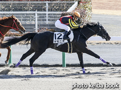 カラーパネル2016年1月16日中京6R 4歳上500万下(デモニオ)