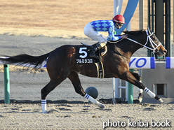 カラープリント(アルミ枠付き)2016年1月16日中京12R 伊勢特別(ブルミラコロ)