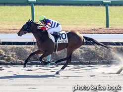 カラーパネル2016年1月16日中山1R 3歳未勝利(キーウエスト)