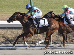 カラープリント(アルミ枠付き)2016年1月16日中山8R 4歳上1000万下(コスタアレグレ)