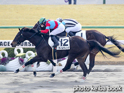 カラーパネル2016年1月17日京都2R 3歳未勝利(ティルヴィング)