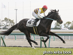 カラーパネル2016年1月17日中京4R 障害未勝利(ニシノマテンロウ)