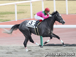 カラープリント(アルミ枠なし)2016年1月17日中京7R 4歳上500万下(モアニケアラ)