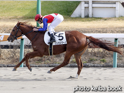 カラープリント(アルミ枠付き)2016年1月17日中山4R 3歳新馬(リンガスウーノ)