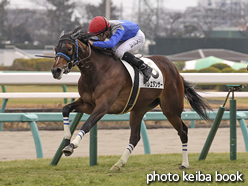 カラーパネル2016年1月17日中山6R 3歳新馬(バレエダンサー)