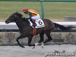 カラープリント(アルミ枠なし)2016年1月17日中山8R 4歳上1000万下(クラシックメタル)