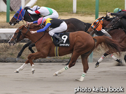 カラーパネル2016年1月17日中山10R ジャニュアリーステークス(マキャヴィティ)