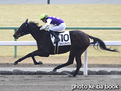 カラープリント(アルミ枠付き)2016年1月23日京都3R 3歳未勝利(シャインダイアン)