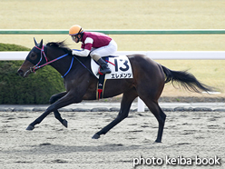 カラーパネル2016年1月23日京都4R 3歳新馬(エレメンツ)