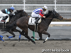 カラーパネル2016年1月23日中京2R 3歳未勝利(ビリケンラッシュ)