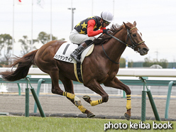 カラープリント(アルミ枠付き)2016年1月23日中京4R 障害未勝利(ハクサンゲイン)