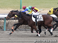 カラーパネル2016年1月23日中山8R 4歳上500万下(ブラウンカイ)