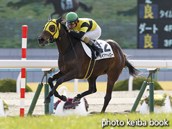カラープリント(アルミ枠付き)2016年1月24日京都6R 3歳新馬(ダイアナヘイロー)