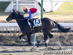 カラーパネル2016年1月24日中山1R 3歳未勝利(ヴァルール)