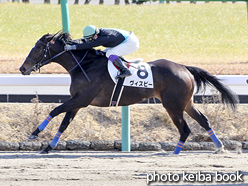 カラープリント(アルミ枠付き)2016年1月24日中山4R 4歳上500万下(ヴィスビー)