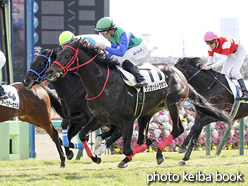 カラープリント(アルミ枠なし)2016年1月24日中山5R 3歳未勝利(サンセットトウホク)