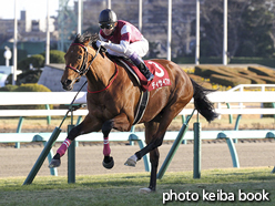 カラープリント(アルミ枠付き)2016年1月24日中山11R アメリカJCC(ディサイファ)