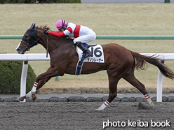 カラーパネル2016年1月30日京都3R 3歳未勝利(ダノンレーザー)