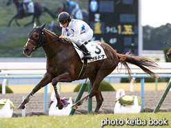 カラープリント(アルミ枠なし)2016年1月30日京都5R 3歳未勝利(サルドナ)