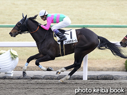 カラーパネル2016年1月30日京都7R 4歳上500万下(ニシオボヌール)