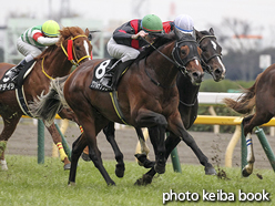 カラーパネル2016年1月30日東京11R 白富士ステークス(ケツァルテナンゴ)