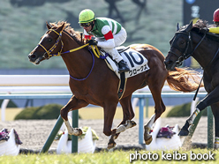 カラープリント(アルミ枠なし)2016年1月31日京都5R 3歳未勝利(クロークス)