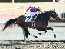 カラープリント(アルミ枠付き)2016年1月31日中京3R 4歳上500万下(メイショウクローバ)