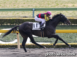 カラーパネル2016年1月31日東京6R 4歳上500万下(エルズミーア)