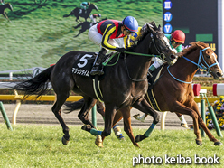 カラーパネル2016年1月31日東京10R 節分ステークス(マジックタイム)