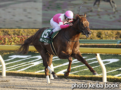 カラーパネル2016年1月31日東京11R 根岸ステークス(モーニン)