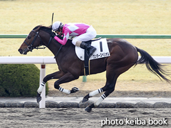 カラープリント(アルミ枠付き)2016年2月6日京都2R 3歳新馬(ワンダースペリオル)