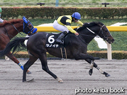 カラープリント(アルミ枠なし)2016年2月6日東京11R 白嶺ステークス(サノイチ)