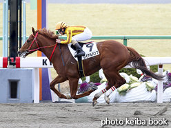 カラーパネル2016年2月7日京都3R 4歳上500万下(ロイヤルパンプ)