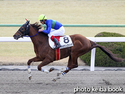 カラーパネル2016年2月7日京都4R 障害未勝利(ショウリュウバイオ)