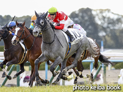 カラープリント(アルミ枠付き)2016年2月7日京都5R 3歳未勝利(レッドエルディスト)