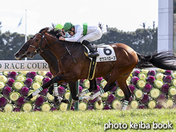 カラープリント(アルミ枠なし)2016年2月7日京都7R 4歳上500万下(ゼウスバローズ)