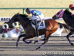 カラープリント(アルミ枠付き)2016年2月7日京都12R 4歳上1000万下(ライオンズバイツ)