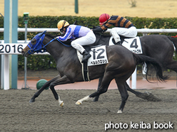 カラープリント(アルミ枠付き)2016年2月13日小倉2R 3歳未勝利(ペルルクロシュ)