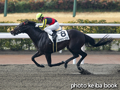 カラープリント(アルミ枠付き)2016年2月13日小倉6R 4歳上500万下(ギャラクシーエクス)