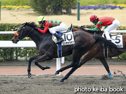 カラープリント(アルミ枠なし)2016年2月13日小倉9R 4歳上500万下(コスモラヴモア)