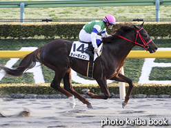 カラーパネル2016年2月13日東京12R 4歳上1000万下(ティーポイズン)