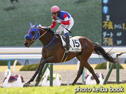 カラープリント(アルミ枠なし)2016年2月14日京都5R 3歳未勝利(ディープエクシード)