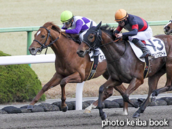 カラーパネル2016年2月14日京都12R 4歳上1000万下(センターピース)