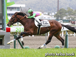 カラープリント(アルミ枠なし)2016年2月14日小倉4R 3歳未勝利(マルカベッカム)