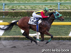 カラープリント(アルミ枠付き)2016年2月14日東京1R 3歳未勝利(シアーライン)