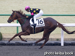 カラープリント(アルミ枠なし)2016年2月20日京都1R 3歳未勝利(アテンフェスタ)